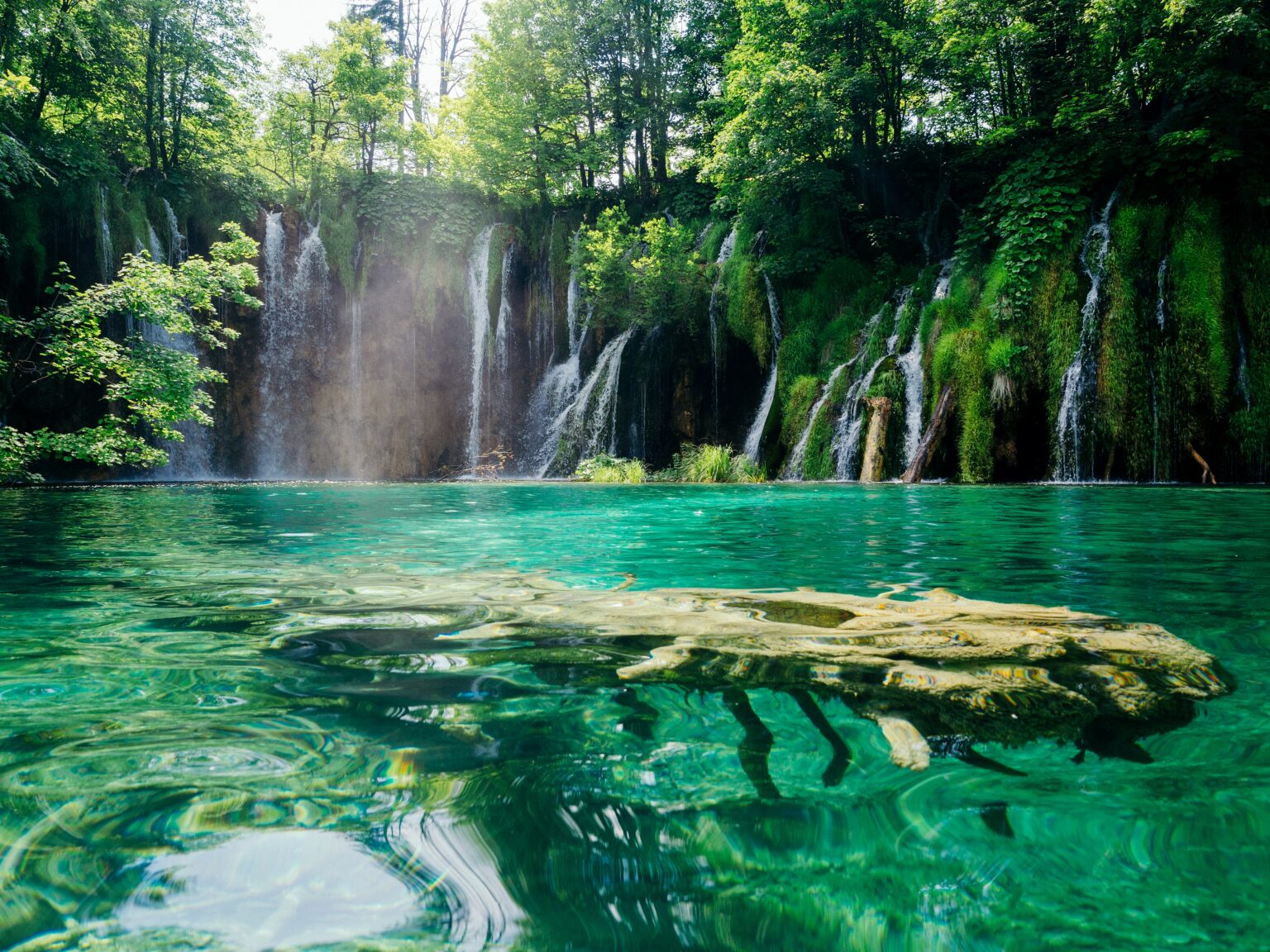 Kroatien_Wasser_Wald